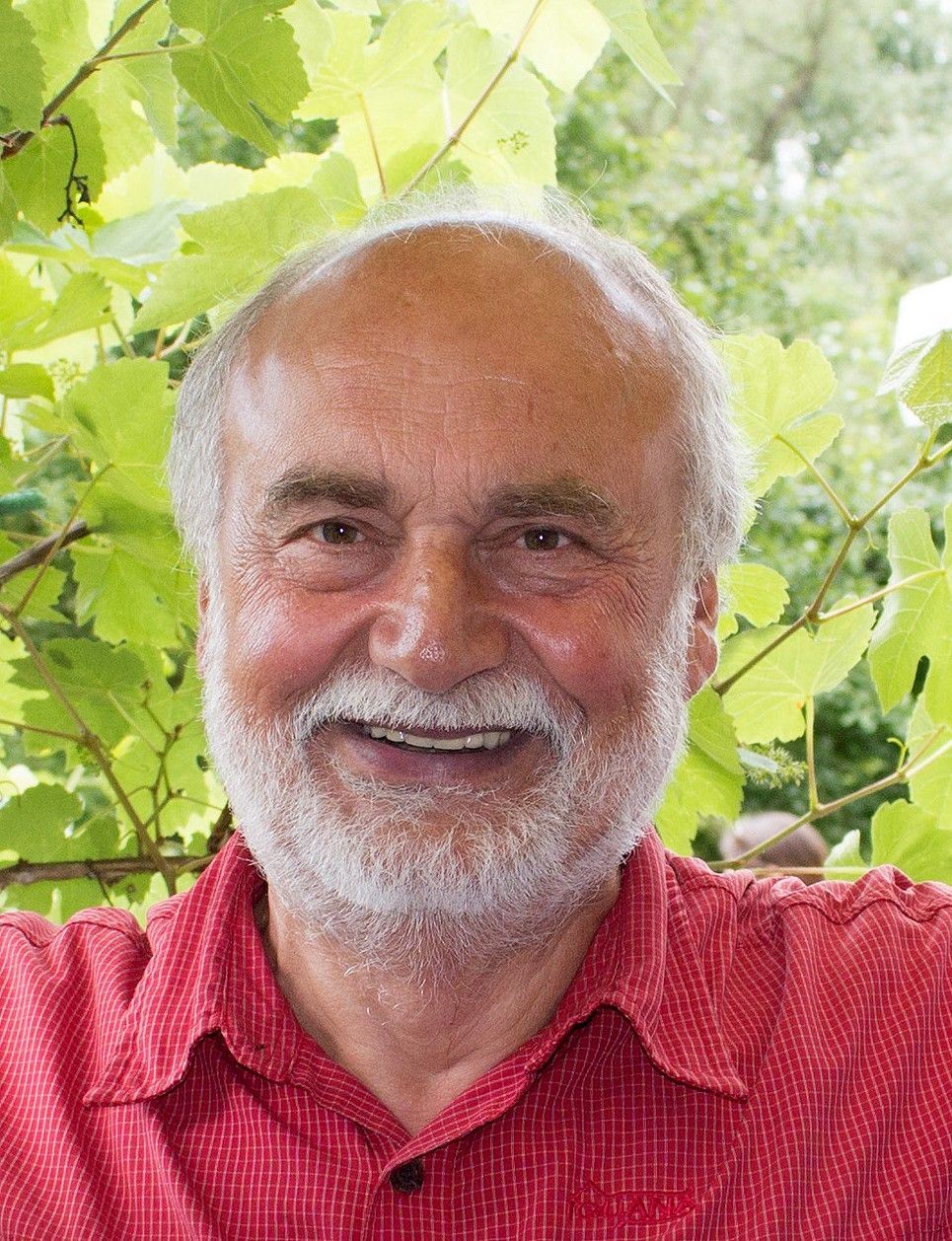 Alfred Westenberger